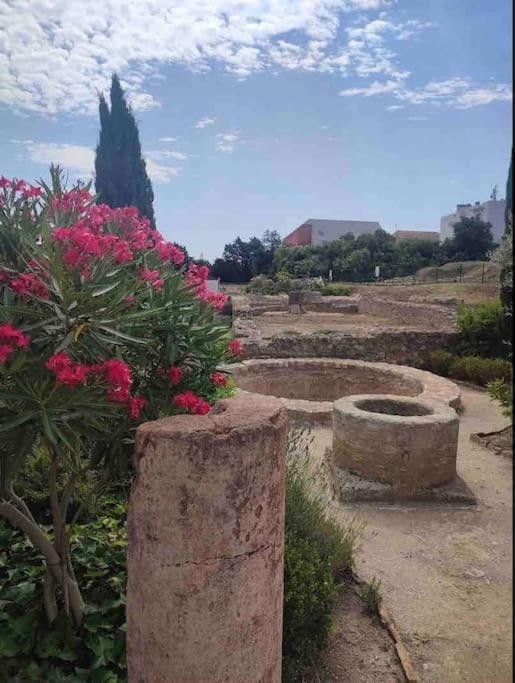 Apartmán Soleil Sucre T2 Centre Historique De Narbonne Exteriér fotografie