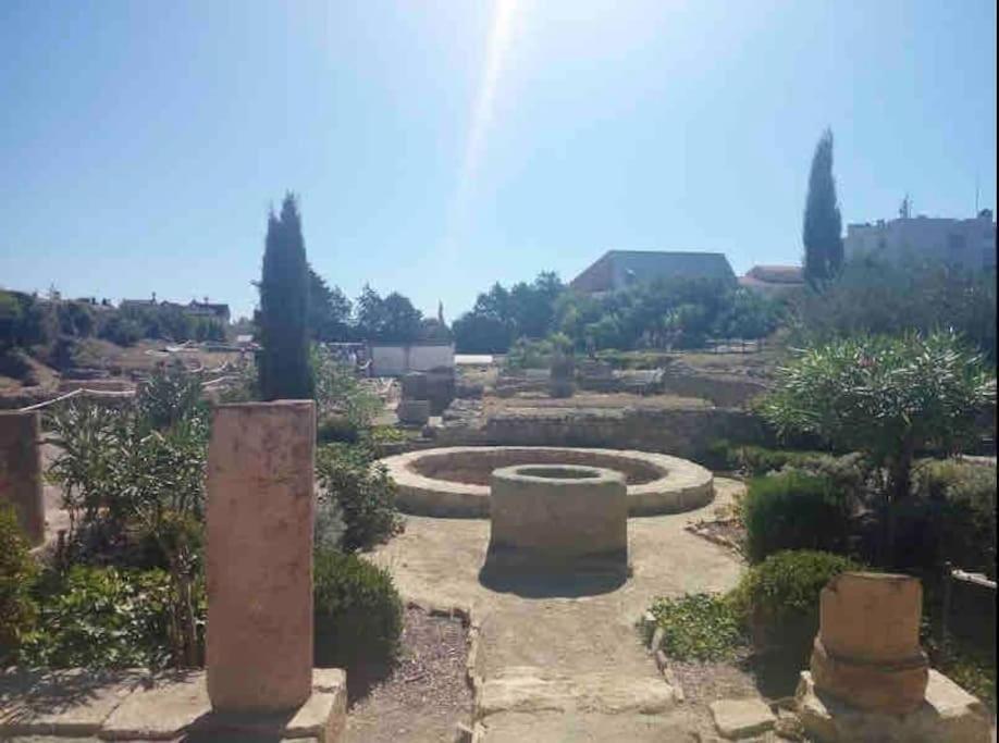 Apartmán Soleil Sucre T2 Centre Historique De Narbonne Exteriér fotografie